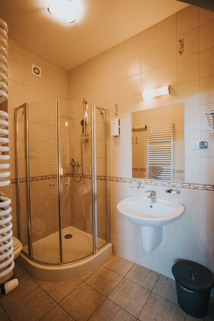 pokój w bieszczadach, noclegi bieszczady, nocleg, pokoje, apartament, spanie w bieszczadach, połoniny, wetlina, grzechowisko,