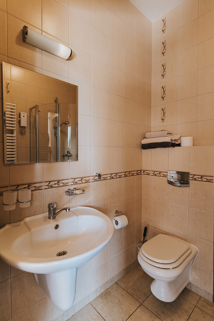 pokój w bieszczadach, noclegi bieszczady, nocleg, pokoje, apartament, spanie w bieszczadach, połoniny, wetlina, grzechowisko,